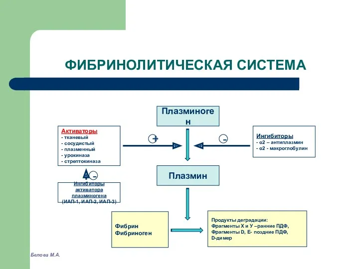 ФИБРИНОЛИТИЧЕСКАЯ СИСТЕМА Плазминоген Активаторы - тканевый - сосудистый - плазменный