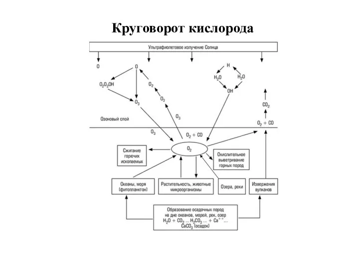 Круговорот кислорода