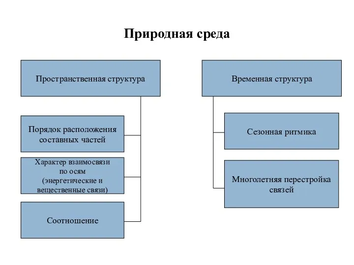 Природная среда Пространственная структура