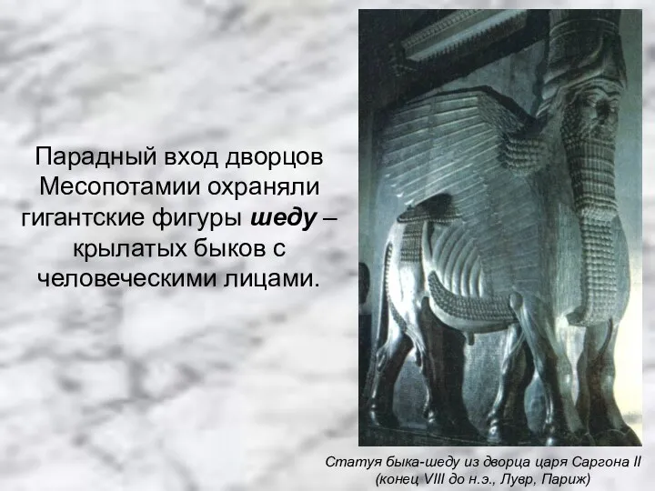 Парадный вход дворцов Месопотамии охраняли гигантские фигуры шеду – крылатых быков с человеческими лицами.