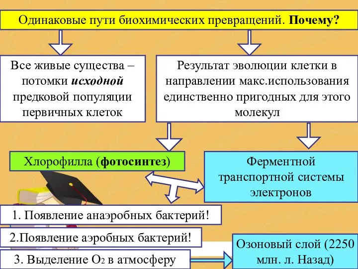 Одинаковые пути биохимических превращений. Почему? Все живые существа – потомки