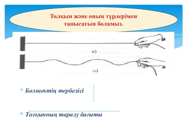 Бөлшектің тербелісі Толқынның таралу бағыты Толқын және оның түрлерімен танысатын боламыз.