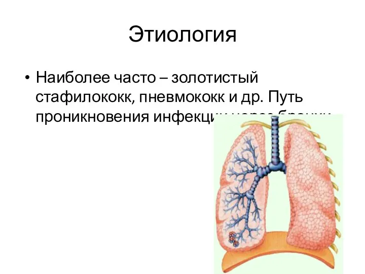 Этиология Наиболее часто – золотистый стафилококк, пневмококк и др. Путь проникновения инфекции через бронхи.