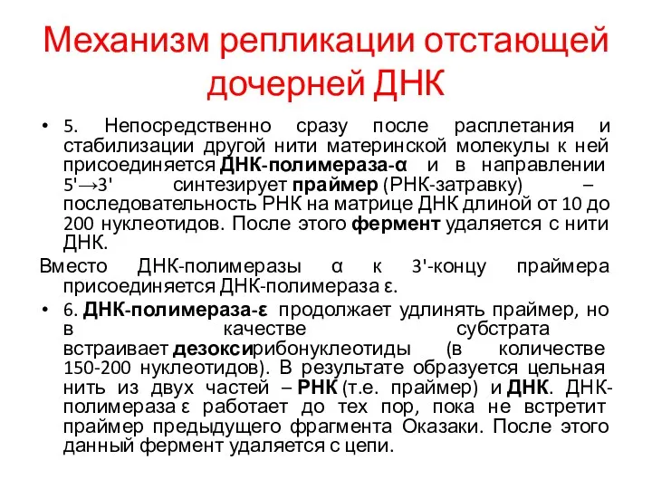 Механизм репликации отстающей дочерней ДНК 5. Непосредственно сразу после расплетания