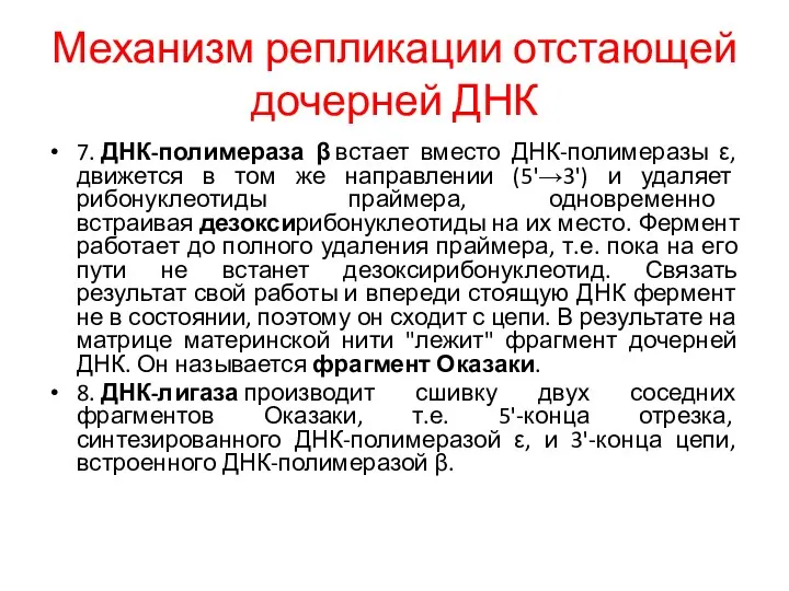 Механизм репликации отстающей дочерней ДНК 7. ДНК-полимераза β встает вместо