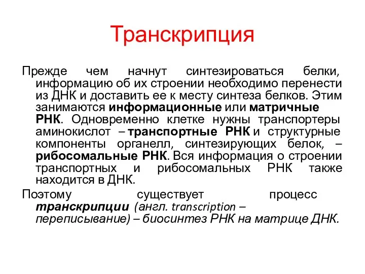 Транскрипция Прежде чем начнут синтезироваться белки, информацию об их строении