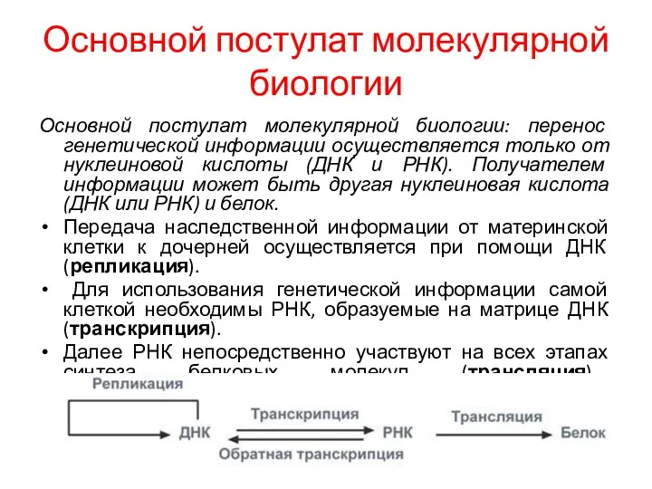 Основной постулат молекулярной биологии Основной постулат молекулярной биологии: перенос генетической