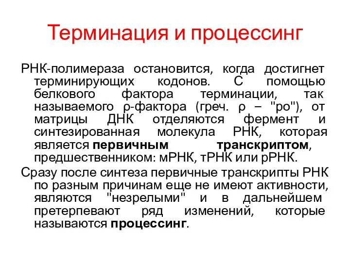 Терминация и процессинг РНК-полимераза остановится, когда достигнет терминирующих кодонов. С