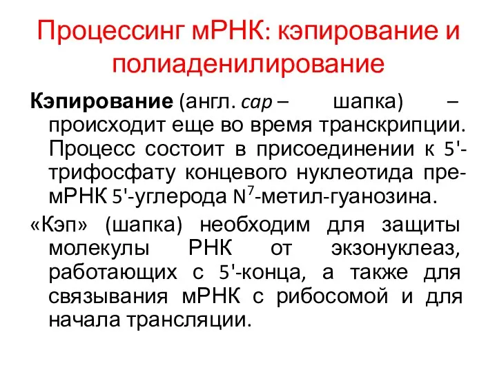 Процессинг мРНК: кэпирование и полиаденилирование Кэпирование (англ. cap – шапка)