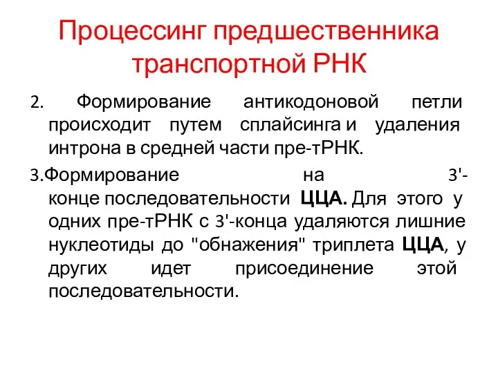 Процессинг предшественника транспортной РНК 2. Формирование антикодоновой петли происходит путем