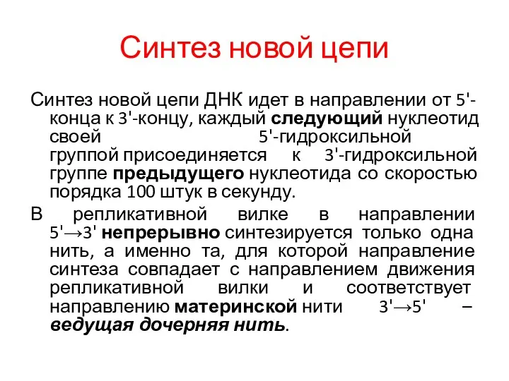 Синтез новой цепи Синтез новой цепи ДНК идет в направлении