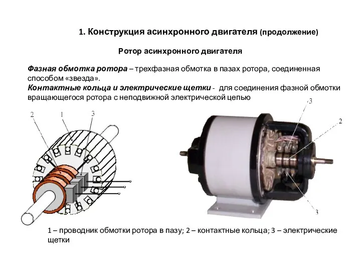 1. Конструкция асинхронного двигателя (продолжение) Ротор асинхронного двигателя Фазная обмотка