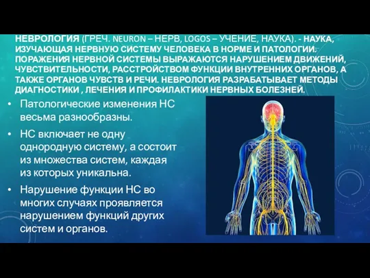 НЕВРОЛОГИЯ (ГРЕЧ. NEURON – НЕРВ, LOGOS – УЧЕНИЕ, НАУКА). -