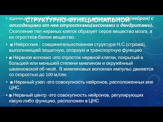 СТРУКТУРНО-ФУНКЦИОНАЛЬНОЙ единицей нервной системы является нервная клетка(нейрон) с отходящими от