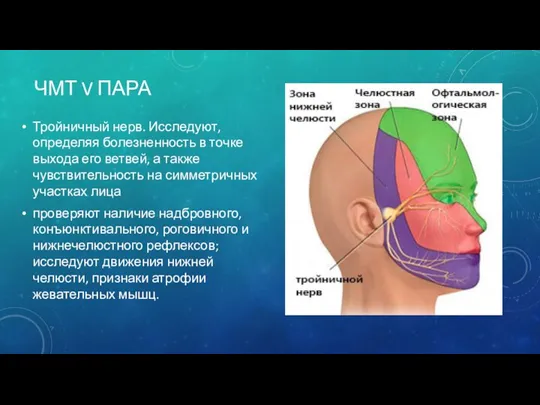 ЧМТ V ПАРА Тройничный нерв. Исследуют, определяя болезненность в точке