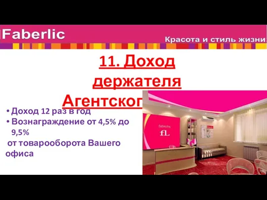 11. Доход держателя Агентского пункта Доход 12 раз в год