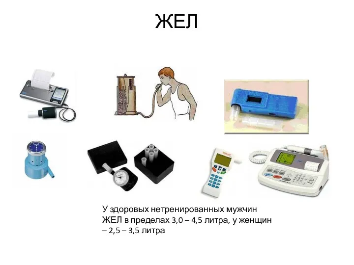 ЖЕЛ У здоровых нетренированных мужчин ЖЕЛ в пределах 3,0 –