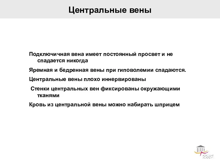 Центральные вены Подключичная вена имеет постоянный просвет и не спадается