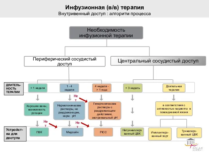 Инфузионная (в/в) терапия Внутривенный доступ : алгоритм процесса Необходимость инфузионной