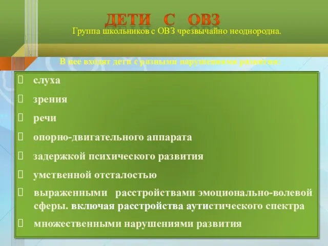 Группа школьников с ОВЗ чрезвычайно неоднородна. В нее входят дети с разными нарушениями