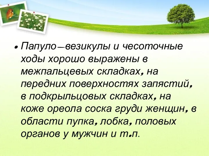 Папуло-везикулы и чесоточные ходы хорошо выражены в межпальцевых складках, на