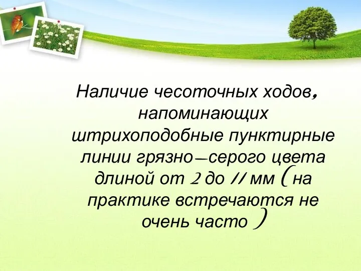 Наличие чесоточных ходов, напоминающих штрихоподобные пунктирные линии грязно-серого цвета длиной