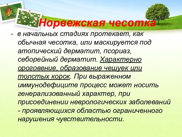 Норвежская чесотка - в начальных стадиях протекает, как обычная чесотка,