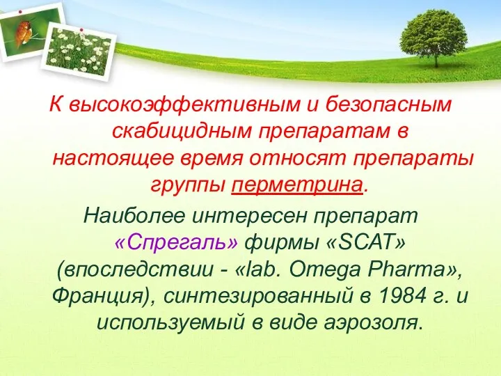 К высокоэффективным и безопасным скабицидным препаратам в настоящее время относят