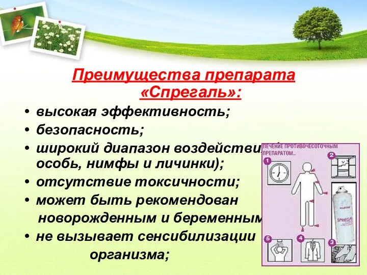 Преимущества препарата «Спрегаль»: высокая эффективность; безопасность; широкий диапазон воздействия (взрослая