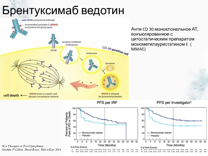 Брентуксимаб ведотин Анти CD 30 моноклональное АТ, конъюгированное с цитостатическим