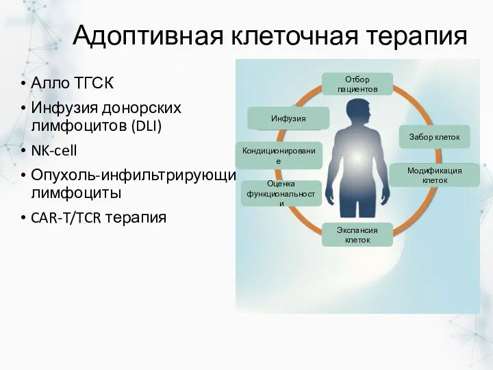 Адоптивная клеточная терапия Алло ТГСК Инфузия донорских лимфоцитов (DLI) NK-cell Опухоль-инфильтрирующие лимфоциты CAR-T/TCR терапия