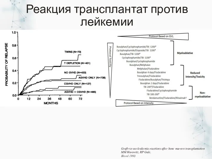 Реакция трансплантат против лейкемии Graft-versus-leukemia reactions after bone marrow transplantation MM Horowitz, RP Gale, Blood 1990