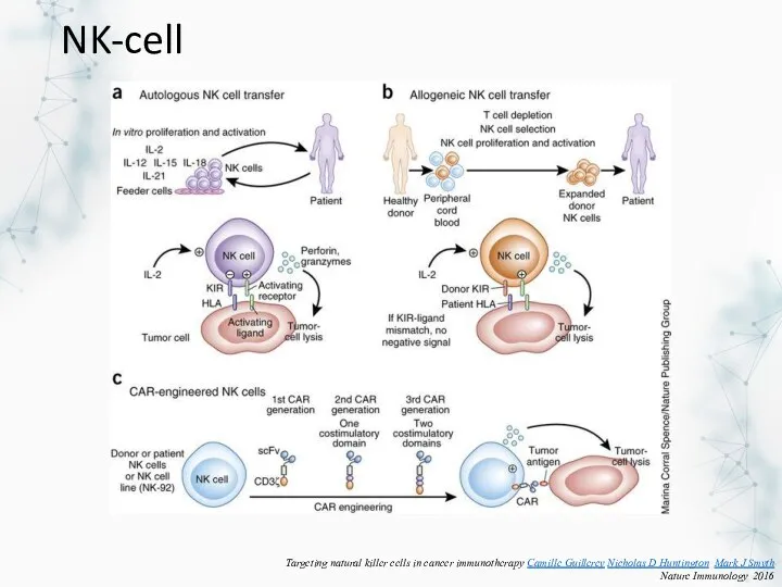 NK-cell Targeting natural killer cells in cancer immunotherapy Camille Guillerey Nicholas D Huntington