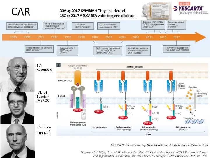 CAR S A Rosenberg Michel Sadelain (MSKCC) Carl June (UPENN) Hartmann J, Schüßler‐Lenz