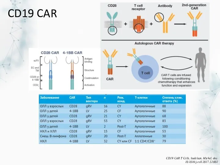 CD19 CAR CD19 CAR T Cells, Sadelain, Michel, doi: 10.1016/j.cell.2017.12.002