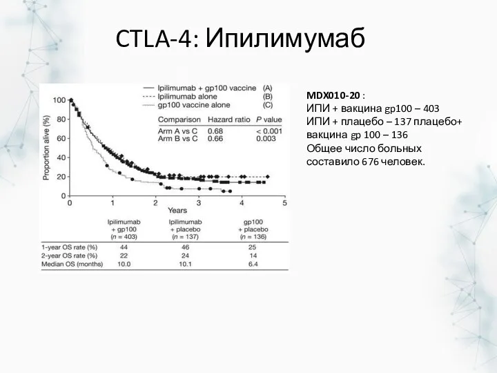 CTLA-4: Ипилимумаб MDX010-20 : ИПИ + вакцина gp100 – 403 ИПИ + плацебо