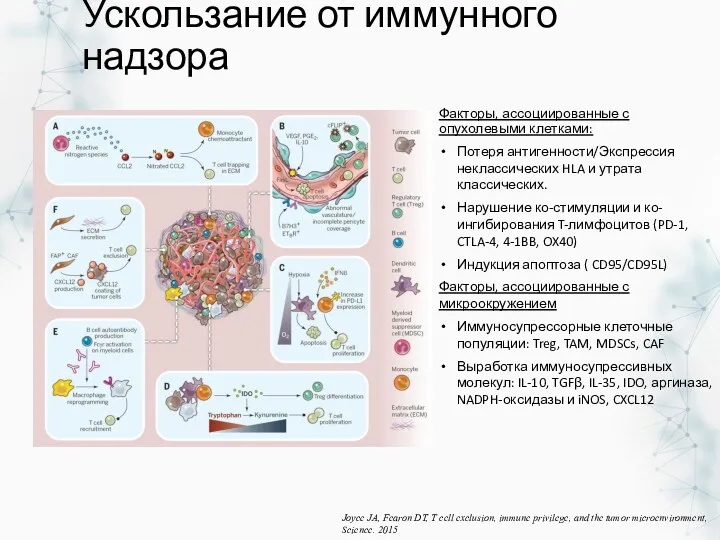 Ускользание от иммунного надзора Joyce JA, Fearon DT, T cell exclusion, immune privilege,