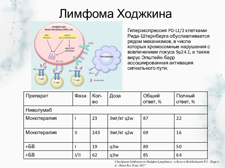 Лимфома Ходжкина Гиперэкспрессия PD-L1/2 клетками Рида-Штернберга обуславливается рядом механизмов, в