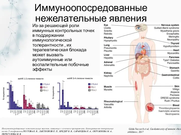 Иммуноопосредованные нежелательные явления Из-за решающей роли иммунных контрольных точек в