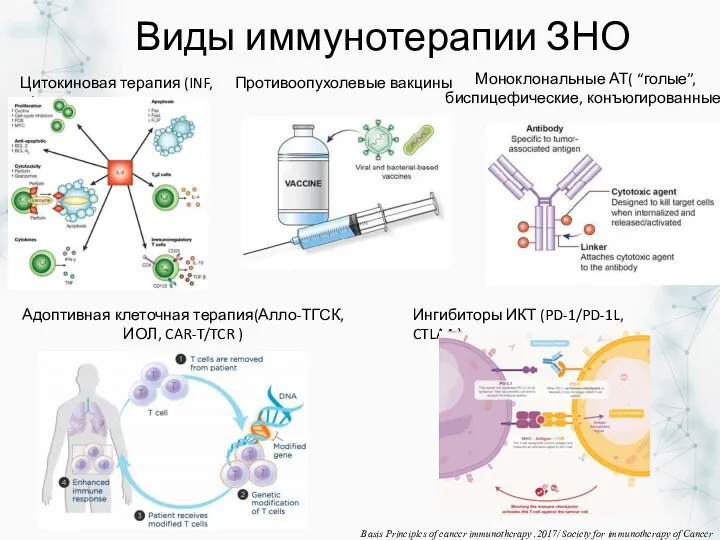 Виды иммунотерапии ЗНО Цитокиновая терапия (INF, IL) Моноклональные АТ( “голые”, биспицефические, конъюгированные) Адоптивная
