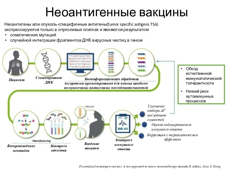 Неоантигенные вакцины Неоантигены или опухоль-специфичные антигены(tumor specific antigens TSA) экспрессируются только в опухолевых