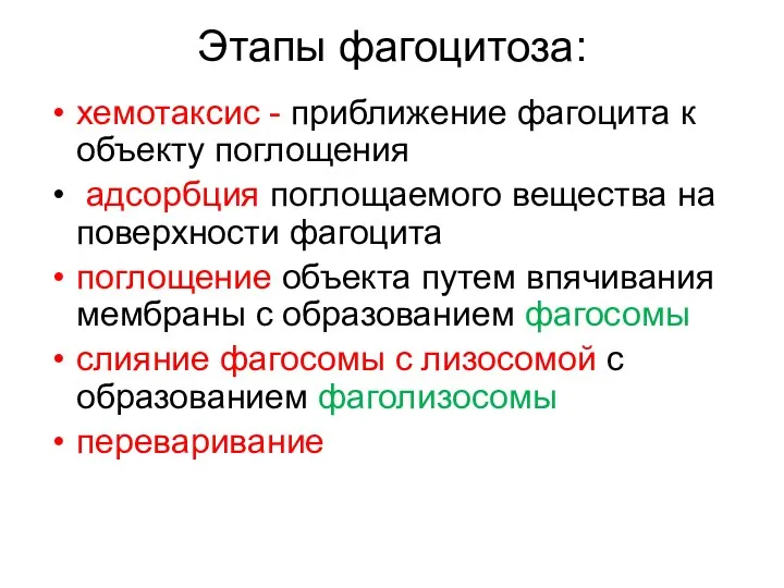 Этапы фагоцитоза: хемотаксис - приближение фагоцита к объекту поглощения адсорбция