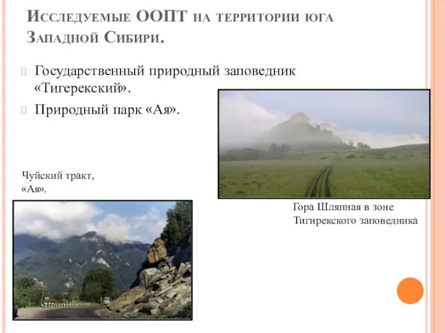 Исследуемые ООПТ на территории юга Западной Сибири. Государственный природный заповедник