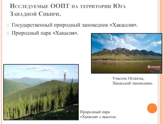 Исследуемые ООПТ на территории Юга Западной Сибири. Государственный природный заповедник
