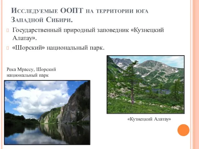 Исследуемые ООПТ на территории юга Западной Сибири. Государственный природный заповедник