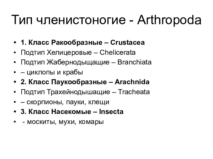 Тип членистоногие - Arthropoda 1. Класс Ракообразные – Crustacea Подтип Хелицеровые – Chelicerata