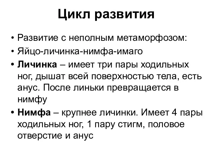 Цикл развития Развитие с неполным метаморфозом: Яйцо-личинка-нимфа-имаго Личинка – имеет три пары ходильных