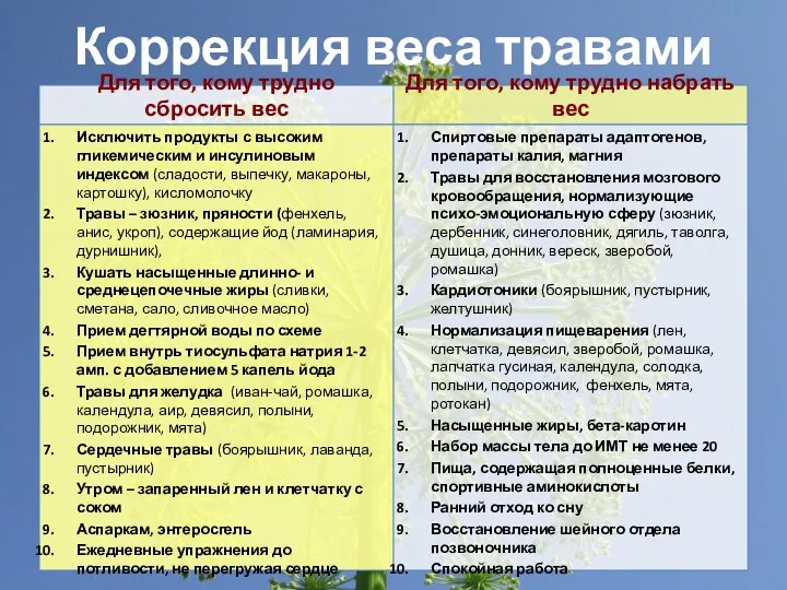 Коррекция веса травами Для того, кому трудно сбросить вес Исключить продукты с высоким