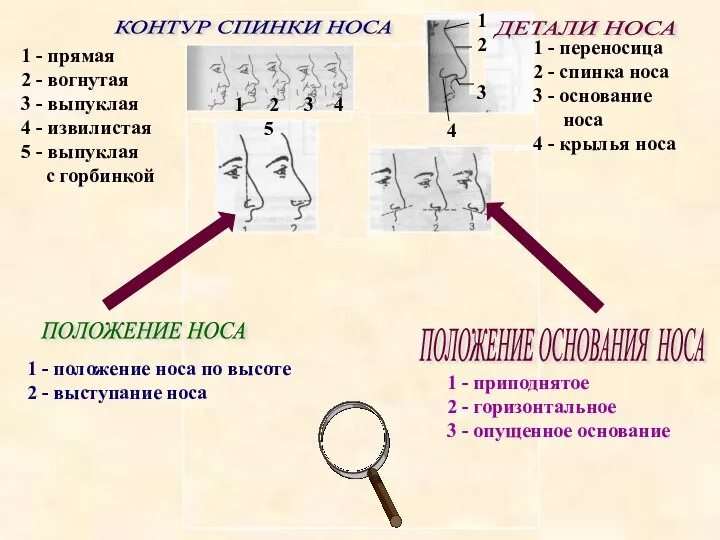 4 1 2 3 1 2 3 4 5 КОНТУР