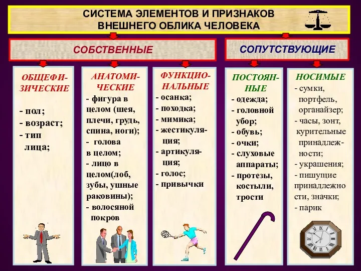 СИСТЕМА ЭЛЕМЕНТОВ И ПРИЗНАКОВ ВНЕШНЕГО ОБЛИКА ЧЕЛОВЕКА СОБСТВЕННЫЕ СОПУТСТВУЮЩИЕ ОБЩЕФИ-ЗИЧЕСКИЕ